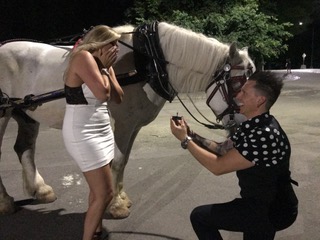 Marriage Proposal Horse Carriage Ride